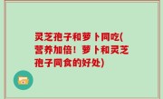 灵芝孢子和萝卜同吃(营养加倍！萝卜和灵芝孢子同食的好处)