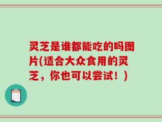 灵芝是谁都能吃的吗图片(适合大众食用的灵芝，你也可以尝试！)
