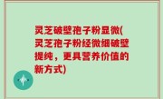 灵芝破壁孢子粉显微(灵芝孢子粉经微细破壁提纯，更具营养价值的新方式)