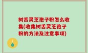 树舌灵芝孢子粉怎么收集(收集树舌灵芝孢子粉的方法及注意事项)