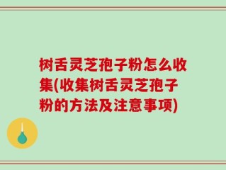 树舌灵芝孢子粉怎么收集(收集树舌灵芝孢子粉的方法及注意事项)