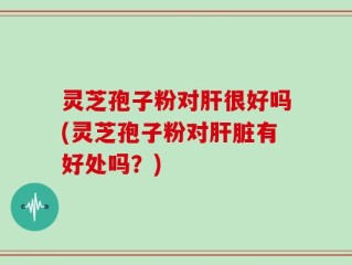 灵芝孢子粉对肝很好吗(灵芝孢子粉对肝脏有好处吗？)