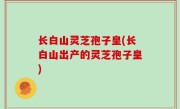 长白山灵芝孢子皇(长白山出产的灵芝孢子皇)