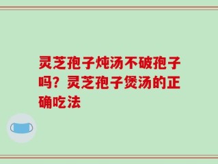 灵芝孢子炖汤不破孢子吗？灵芝孢子煲汤的正确吃法
