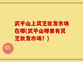 武平山上灵芝批发市场在哪(武平山哪里有灵芝批发市场？)