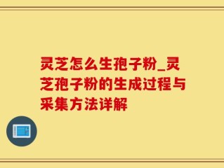 灵芝怎么生孢子粉_灵芝孢子粉的生成过程与采集方法详解