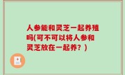 人参能和灵芝一起养殖吗(可不可以将人参和灵芝放在一起养？)