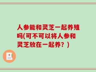 人参能和灵芝一起养殖吗(可不可以将人参和灵芝放在一起养？)