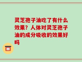 灵芝孢子油吃了有什么效果？人体对灵芝孢子油的成分吸收的效果好吗