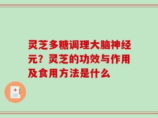 灵芝多糖调理大脑神经元？灵芝的功效与作用及食用方法是什么