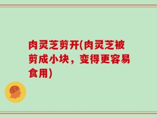 肉灵芝剪开(肉灵芝被剪成小块，变得更容易食用)