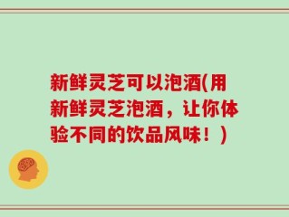 新鲜灵芝可以泡酒(用新鲜灵芝泡酒，让你体验不同的饮品风味！)