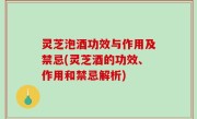 灵芝泡酒功效与作用及禁忌(灵芝酒的功效、作用和禁忌解析)