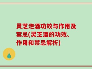 灵芝泡酒功效与作用及禁忌(灵芝酒的功效、作用和禁忌解析)