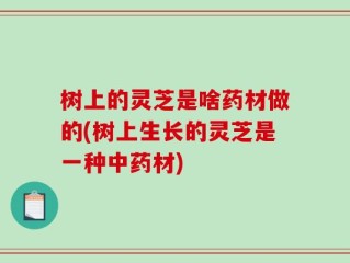 树上的灵芝是啥药材做的(树上生长的灵芝是一种中药材)