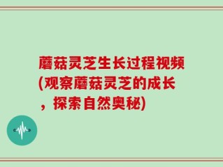 蘑菇灵芝生长过程视频(观察蘑菇灵芝的成长，探索自然奥秘)