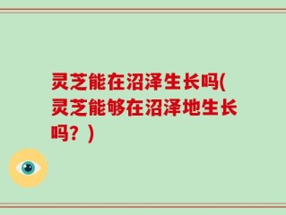 灵芝能在沼泽生长吗(灵芝能够在沼泽地生长吗？)