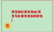 灵芝和红景天泡水(灵芝与红景天泡水的好处)