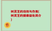 树灵芝的功效与作用(树灵芝的健康益处简介)
