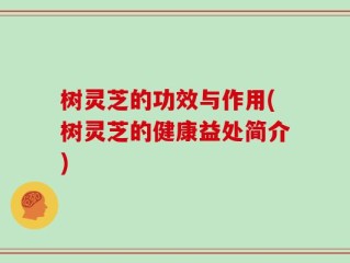 树灵芝的功效与作用(树灵芝的健康益处简介)