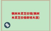 枫树木灵芝价钱(枫树木灵芝价格即将大涨)