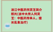 浙江中医药何灵芝简介照片(浙中大传人何灵芝：中医药传承人，擅长乱象治疗)