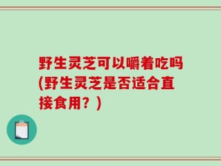 野生灵芝可以嚼着吃吗(野生灵芝是否适合直接食用？)