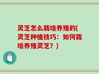 灵芝怎么栽培养殖的(灵芝种植技巧：如何栽培养殖灵芝？)