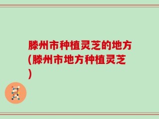 滕州市种植灵芝的地方(滕州市地方种植灵芝)