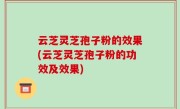 云芝灵芝孢子粉的效果(云芝灵芝孢子粉的功效及效果)