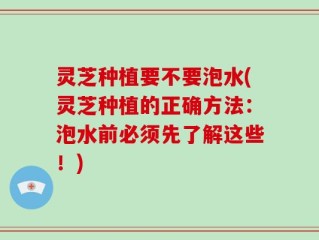 灵芝种植要不要泡水(灵芝种植的正确方法：泡水前必须先了解这些！)