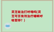灵芝能治打呼噜吗(灵芝可否有效治疗睡眠呼吸暂停？)
