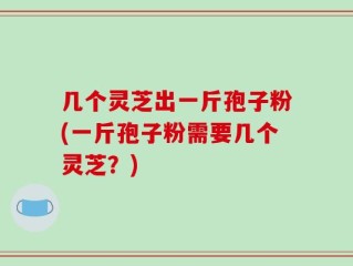 几个灵芝出一斤孢子粉(一斤孢子粉需要几个灵芝？)