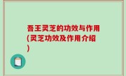 吾王灵芝的功效与作用(灵芝功效及作用介绍)