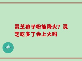 灵芝孢子粉能降火？灵芝吃多了会上火吗
