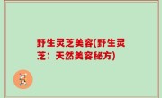 野生灵芝美容(野生灵芝：天然美容秘方)