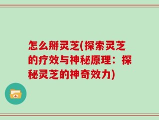 怎么掰灵芝(探索灵芝的疗效与神秘原理：探秘灵芝的神奇效力)
