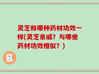 灵芝和哪种药材功效一样(灵芝亲戚？与哪些药材功效相似？)