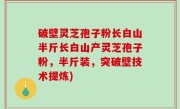 破壁灵芝孢子粉长白山半斤长白山产灵芝孢子粉，半斤装，突破壁技术提炼)