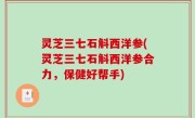灵芝三七石斛西洋参(灵芝三七石斛西洋参合力，保健好帮手)