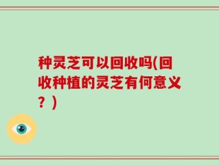 种灵芝可以回收吗(回收种植的灵芝有何意义？)