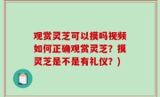 观赏灵芝可以摸吗视频如何正确观赏灵芝？摸灵芝是不是有礼仪？)