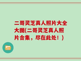 二哥灵芝真人照片大全大图(二哥灵芝真人照片合集，尽在此处！)