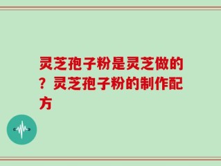 灵芝孢子粉是灵芝做的？灵芝孢子粉的制作配方