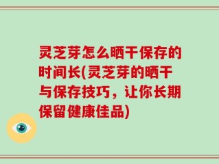 灵芝芽怎么晒干保存的时间长(灵芝芽的晒干与保存技巧，让你长期保留健康佳品)