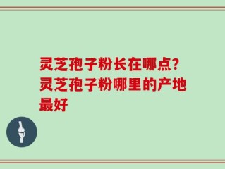 灵芝孢子粉长在哪点？灵芝孢子粉哪里的产地最好