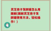 灵芝孢子发酵罐怎么用图解(图解灵芝孢子发酵罐使用方法，轻松操作！)
