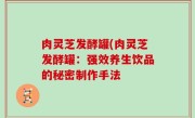 肉灵芝发酵罐(肉灵芝发酵罐：强效养生饮品的秘密制作手法