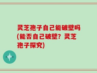 灵芝孢子自己能破壁吗(能否自己破壁？灵芝孢子探究)