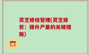 灵芝修枝管理(灵芝修剪：提升产量的关键措施)